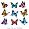 Flowers like the blanket flower, butterfly weed, new england aster, and the blazing star are some of their favorites. 1