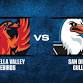 Coachella Valley Firebirds vs. San Diego Gulls event image
