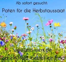 Seieinheldbestelleinfeld Herbstaussaat Feldwerk Bluhpatenschaften Naturschutz Insektenschutz Seieinheldbestelleinfeld Lohne In 2020 Der Pate Blumen Felder