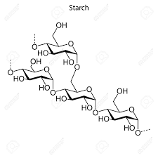 We did not find results for: Skeletal Formula Of Starch Chemical Molecule Royalty Free Cliparts Vectors And Stock Illustration Image 123715774