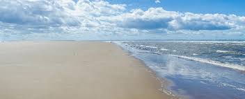 Obituary for Mary Ellen Riel