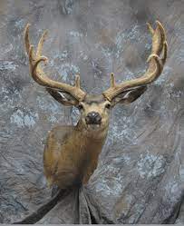 Ending may 11 at 3:48pm pdt. Pin On Taxidermy