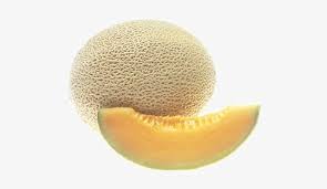 We did not find results for: Melon Png Transparent Image Cantaloupe With No Background Free Transparent Png Download Pngkey