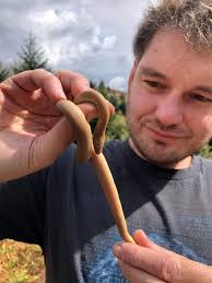 Snake Ecology Symposium