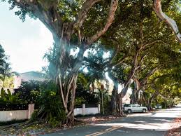 Coral gables is located adjacent to miami, putting it within easy reach of the port of miami, miami international airport, miami beach and other destinations. 10 Things To Do In Miami Whisperwanderlust Com