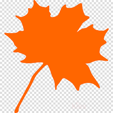 Maple Tree Clipart Leaf Cartoon Autumn Transparent Clip Art 33 transparent png illustrations and cipart matching cartoon fall leaves. maple tree clipart leaf cartoon