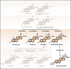Image result for Third Generation Progestin