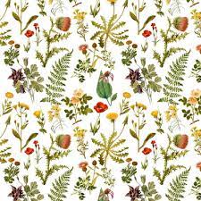 Find images of botanical drawing. Botanical Illustration Fabric Wallpaper And Home Decor Spoonflower