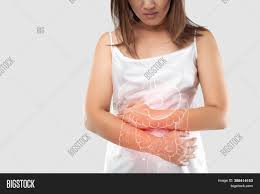 Sight, touch, hearing, smell and taste. Illustration Intestine Image Photo Free Trial Bigstock