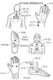 Pin By Jamie Tanner On Diy Acupressure Acupressure Treatment Acupressure Therapy Acupressure