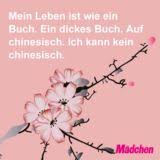 Whatsapp Status Sprüche Die 66 Besten Bilder Mädchende