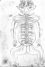 Anatomy charts are visual depictions of the human body. Islamic Culture And The Medical Arts Anatomy