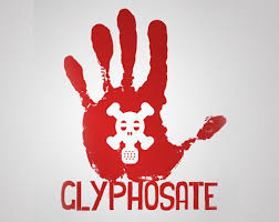 glyphosat cancer risk ile ilgili görsel sonucu