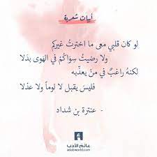 شعر عنترة بن شداد لو كان قلبي معى ما اخترت غيركم عالم الأدب Beautiful Arabic Words Sweet Words Love Words