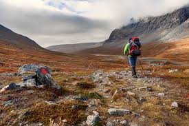 We hiked the first 300km on the northern kungsleden from abisko. Kungsleden All You Need To Know About Swedish Hiking Trail
