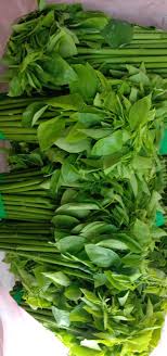 Sayur manis got its tamil name tausi murunga keerai as this vegetable was eaten by sages and seers of yester years who were practicing austerity in deep forests. Lahad Datu Sayur Manis Kudasang Freso Mini Market Facebook