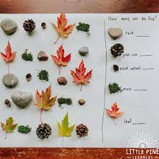 Here Is A Simple Inexpensive And Beautiful Nature Math Activity For Kids This Is Perfect For The Homeschool Math Activities Nature Activities Maths In Nature