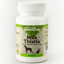 Risks, side effects and interactions. Animal S Essentials Milk Thistle Dog Cat Supplement 30 Capsules Naturalpetwarehouse Com