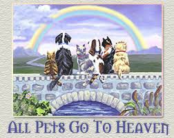 Pet waiting for you at rainbow bridge, the pet loss journey exploring the 2 pet loss concepts in. Rainbow Bridge All Pets Go To Heaven