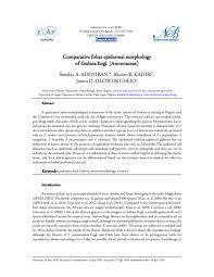 Image result for isolona