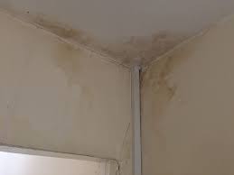 Rising Damp On Walls And Ceiling We Could Fix That Rising Damp Cloud Painting Decorative Painting