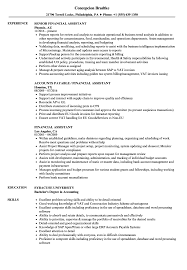 Financial Assistant Resume Samples Velvet Jobs