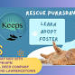 Rescue Purrsday event image