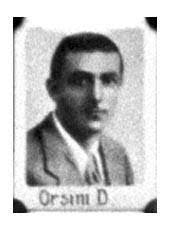 Dante Orsini's Instagram, Twitter & Facebook