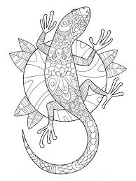 There's something for everyone from beginners to the advanced. Printable Lizard Coloring Pages Pdf Coloringfolder Com Mandala Coloring Pages Antistress Coloring Coloring Books