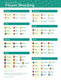 Flower Breeding In 2020 Animal Crossing Animal Crossing Funny Animal Crossing Fish