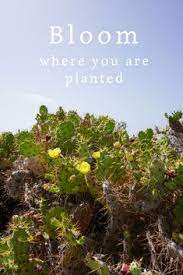 Located in ornos, mykonos cactus is the right choice for visitors who are searching. 8 Inspirational Quotes Ideas Seaside Hotel Inspirational Quotes Maspalomas