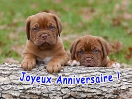 More cartes bon anniversaire images. Bon Anniversaire Joyeux Anniversaire Bonne Fete Images Voeux Carte Posts Facebook