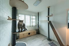 From textured touches to creative uses of traditionally overlooked nooks, these rooms prove. 4 Hdb Homes With Cat Friendly Designs Houzz