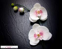 Sugar Orchid Tutorial How To Cake That