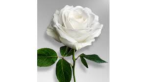 Roger Chandler Obituary