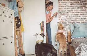 How To Become A Pet Sitter As A Full-Time Job Or Side Gig | Lovetoknow