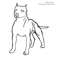 American pit bull terrier coloring pages come in a range of styles. American Pit Bull Or American Staffordshire Terrier Dog Coloring Page