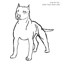 Select one of 1000 printable coloring pages of the category adult. American Pit Bull Or American Staffordshire Terrier Dog Coloring Page