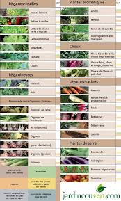 Que Cultiver Ou Semer Au Potager En Septembre Potager Conseil Jardinage Jardinage