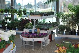 The New Petitti Garden Centers In 2020 Garden Center Indoor Plants Live Plants