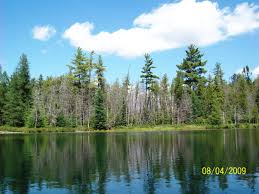 Reserve campsites at flambeau river state forest. Glory Lake In Hartwick Pines State Park Near Grayling Michigan Aug 2009 Otsego Lake State Parks Houghton Lake