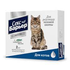 kot prosit koshku chto delat domashnij kot oret nachal prosit koshku npk skiff