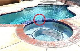 In other words, it has been designed to be used frequently and in good company. Shared Pool Spa Systems