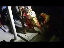 Check spelling or type a new query. Download Kijola Tz Mp4 Mp3 3gp Naijagreenmovies Fzmovies Netnaija