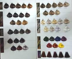 Maxima Hair Color Chart Brand New Made In Italy 14 99