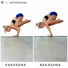 Pin By Katie Rotter On Yoga Obsessed Crow Pose Yoga Asanas Crane Pose