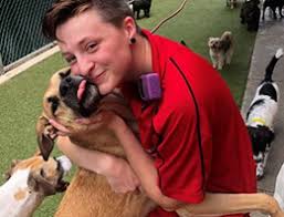 An inconsistent film with strong performances. Care A Lot Pet Resorts In Virginia Beach Newport News Moyock