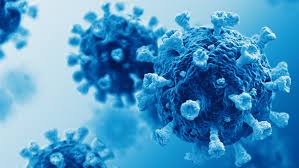 Indoors six people from any number of households can meet, or larger groups from no more than two households. Coronavirus Covid 19 And Multiple Sclerosis Ms Trust