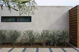 Rough plastered wall seamless texture. How To Smooth Out Your Stucco Exterior