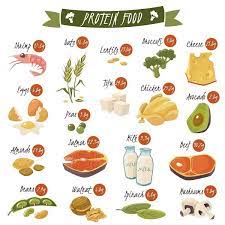 Check spelling or type a new query. 8 Pilihan Makanan Kaya Protein Dan Rendah Karbohidrat Tara Nature